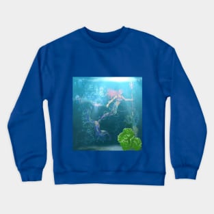 Mermaids Are Fish Crewneck Sweatshirt